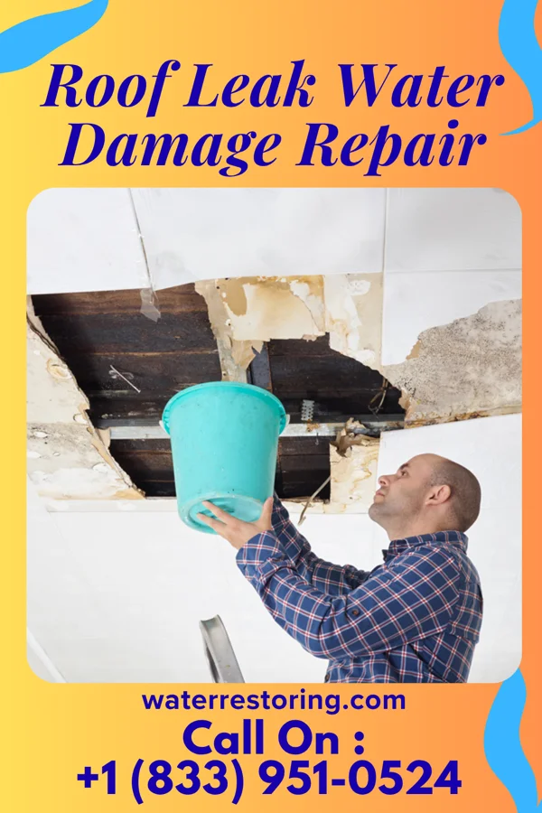 Roof Leak Water Damage Repair in Dell Rapids, SD