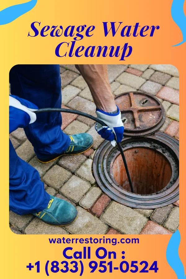 Sewage Water Cleanup in Dell Rapids, SD