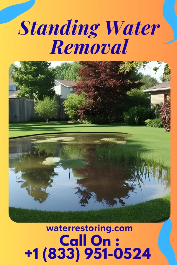 Standing Water Removal in Dell Rapids, SD